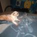 Tom Knapp - Facebook