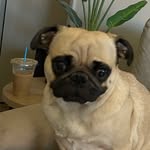 Tommy Kowalski - @tommykowalski - Instagram