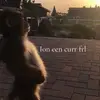 Tommy - @tommy.deleon4 - TikTok