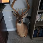 Tommy Lockhart - Facebook