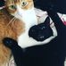 Tommy Lord - Facebook
