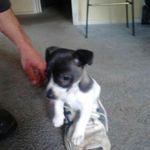 Tommy Lord - @tommy_lord369 - Instagram