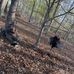 Thomas Lovingood - Facebook