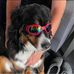 Tommy Lovingood - Facebook