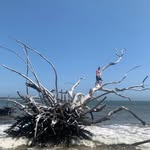 Tom Lydon - @tom.lydon.37 - Instagram