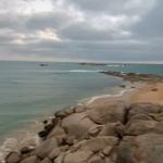 Tommy Macdonald - @tommy.macdonald_ - Instagram