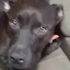Mackenziehatcherihatelorenzo - @tommytsquadmackenzie - TikTok