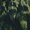 Tommy Magee605 - @tommymagee2 - TikTok