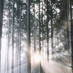 Tommy Magee - @tommyandhannah - Instagram