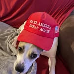 Tommy Majors - @majors.tommy - Instagram