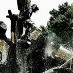 Tommy Mayberry - @mayberrytommy - Instagram