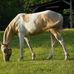Tommy Lane McCammon - Facebook