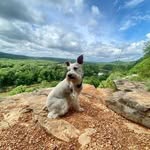Tom McCrary - @tom_mccrary - Instagram