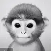 tommymeeks7405 - @tommymeeks7405 - TikTok