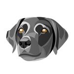 Tom Merrill - @merrilldesigns - Instagram