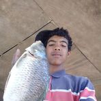 Tommy Mora - Facebook