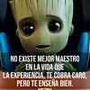 TOMMY MORALES - @tommymorales23 - TikTok