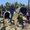 Tommy Morales - @tommy.morales8 - TikTok