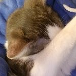 Tommy Morton - @tommy.morton.520357 - Instagram