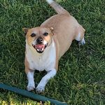 Tommy Moua - @tommy_moua_ - Instagram