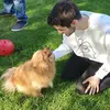 Tom Murchison - @tmurc - TikTok