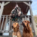 Tommy Nance - @yboutdoorss - Instagram