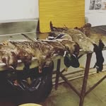 Tommy nance - @urmomishot42099 - Instagram
