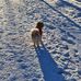 Tommy Pedersen - Facebook