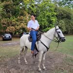 Tommy Peña - @pena_tommy - Instagram