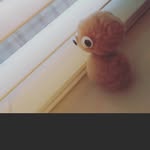 Tommy_pikey - @tommy_pikey - Instagram