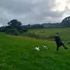 tommypike57 - @tommypike57 - TikTok