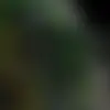 user8740173430620 - @tommyplummer - TikTok