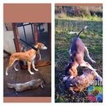 Tommy Lee - @tommypolkinghorne598 - Instagram