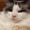 user5897283937276 - @tommyquick56 - TikTok