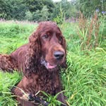 Tom Ramage - @tom.ramage.5 - Instagram