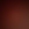 Tommy Randall - @cartis.burner - TikTok