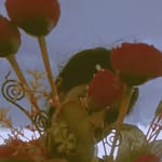 𝒅𝒆𝒗𝒊𝒌𝒂 -𝒓𝒆𝒅𝒅𝒚 - @de_vika_reddy_tommy - Instagram