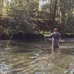 Tommy Robins - @tbird725 - Instagram