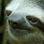 tommy rollins - @llamasarelife42 - Instagram