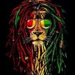 Tommy Savage - @tommy.savage.376 - Instagram