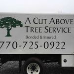 Tommy Saxon - @a_cut_above_tree - Instagram