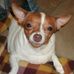 Tom Searcy - Facebook