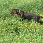 Tom Shoemaker - @shoemaker.tom - Instagram
