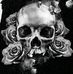 Tommy Spaulding - Facebook