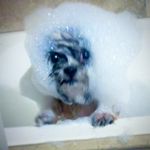 Tommy Spaulding - @_beep.beep.boop.bop_ - Instagram