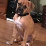 Tommy Stover - @tommy.stover.39 - Instagram