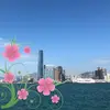Tommy Suh - @tommyfeifei - TikTok