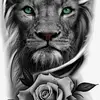 Tom Sweeney - @tom.sweeney59 - TikTok