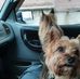 Tom Tedesco - Facebook