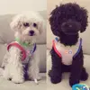 Tommy y Teo - @tommyyteo - TikTok